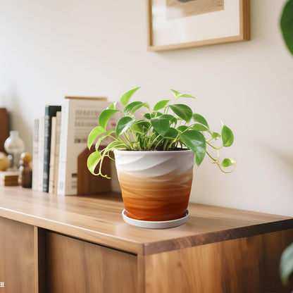 8 Inch Plant Pot, Ceramic Planter with Drainage and Saucer, Ceramic Pots for Plants, Indoor Plant pots, Flower pots，Modern Planter(Khaki + White)