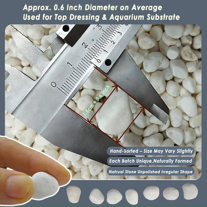 15LB White Gravel for Succulents and Cactus, 0.6 Inch Natural Unpolished Crushed River Rocks for Plants, Vases, Aquariums, Terrariums, Planters, Outdoor Gardening & Landscaping Decorative Stones