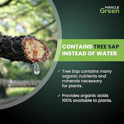 Miracle Green Fast-Acting Liquid Fertilizer- Special Formula with Tree Sap & Yucca Plant Extract - All-Purpose Fertilizer for Houseplants, Flowers, Fruits, Vegetables & Trees (8 oz Plant Food)