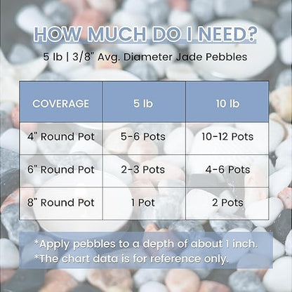 SIDONG 10 LB Natural Mixed Color Gravel Pebbles, 2/5 Inch Small Pea Gravel Stones, Decorative River Rocks for Succulents, Aquariums, Vases, Indoor Plants, Garden Landscaping, DIY