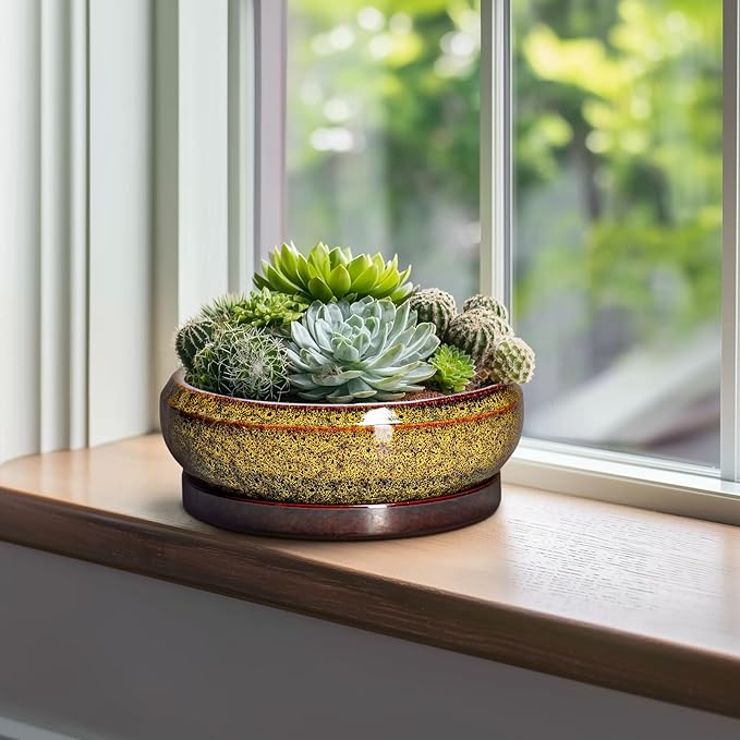 Bonsai Pots Ceramic - 10 Inch Succulent Planters Indoor Outdoor, Shallow Planter with Drainage Hole and Saucer, Round Planter Bowl, Succulent Pots, House Decor, Gifts for Plant Lover, Yellow