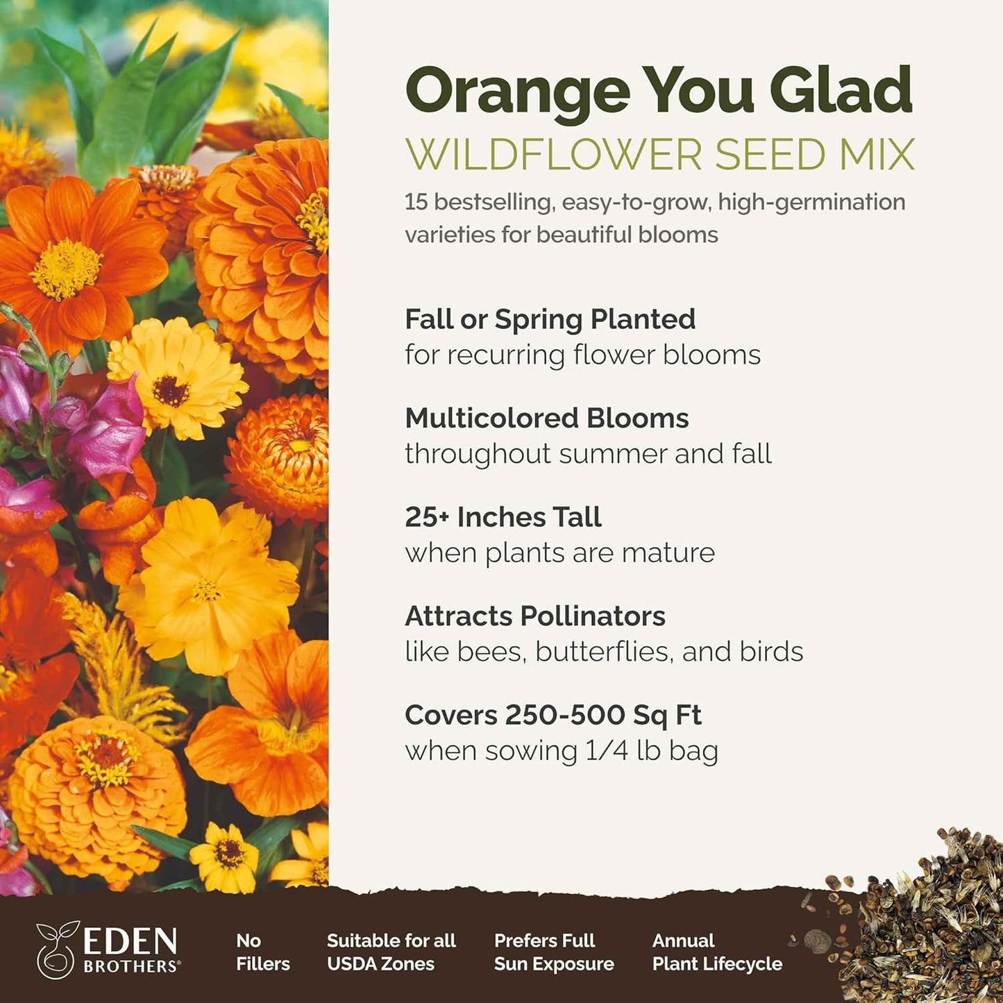 Eden Brothers Orange You Glad Flower Mixed Seeds for Planting, 1/4 lb, 120,000+ Seeds with Dahlia, Double Strawflower | Attracts Pollinators, Plant in Spring or Fall, Zones 3, 4, 5, 6, 7, 8, 9, 10