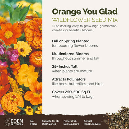 Eden Brothers Orange You Glad Flower Mixed Seeds for Planting, 1/4 lb, 120,000+ Seeds with Dahlia, Double Strawflower | Attracts Pollinators, Plant in Spring or Fall, Zones 3, 4, 5, 6, 7, 8, 9, 10