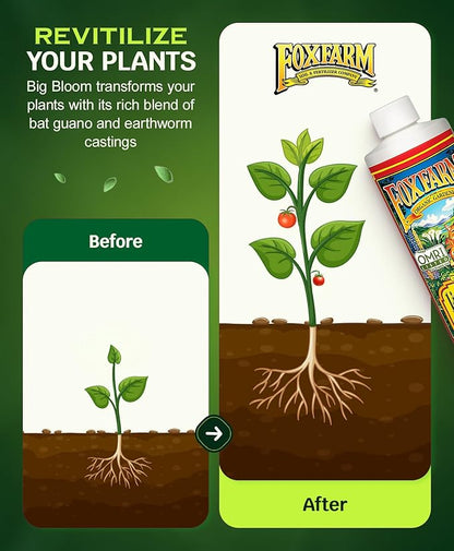FoxFarm - Big Bloom Plant Food, Liquid Fertilizer Concentrate for Flowers, Fruits, and Vegetables, All Purpose Plant Fertilizer for Indoor & Outdoor Potted Plants, NPK 0-0.5-0.7 (Pint)