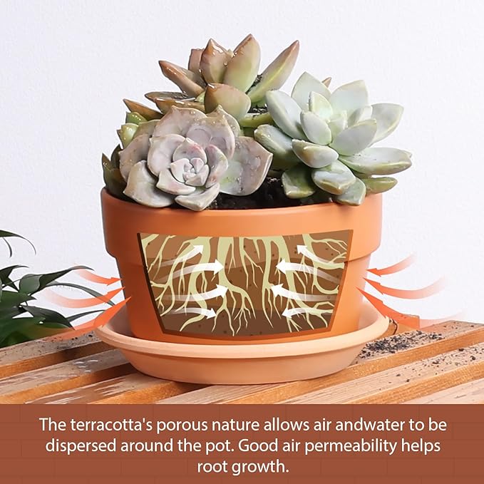 INGOFIN 5 Inch Terracotta Shallow Pots Set with Saucer - Ceramic Clay Pots with Drainage Hole, Terra Cotta for Plants for Indoor Outdoor Plants, Set of 6