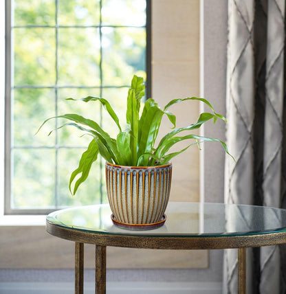 Oairse Ceramic Pots for Indoor Plants, 5.7 inch Pots for Plants Set of 2 Brown Planters with Drainage Holes and Saucers Texture Ceramic Planters Indoor Outdoor for Succulent