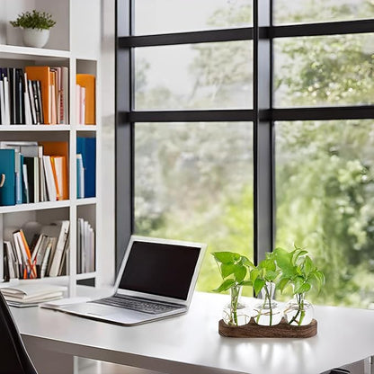 Mkono Desktop Plant Propagation Station Glass Planter Terrarium with Wooden Tray Bulb Flower Vase Perfect for Propagating Hydroponic Plants Home Office Decor Plant Lover Gift Idea