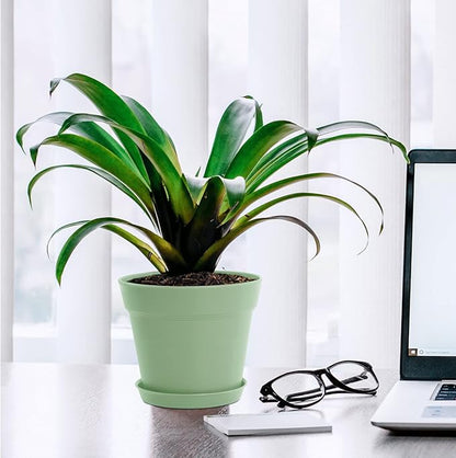 WOUSIWER 16 Pack 6 inch Plastic Planters, Plastic Indoor Planter Flower Pots, Heavy Duty and Stylish 6 Inch Plant Pots for Indoor Plants with Drainage Holes and Tray for Plants Flowers, Green