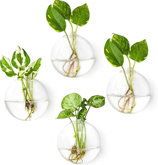 Propagation Station, Plants Terrarium, Plants Lover Gifts for Women,Plant Cutting Holder Home décor,Gifts for Women,House Warming New Home-4 Moon Shape