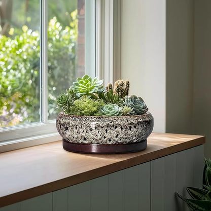 Bonsai Planter 13 Inch - Large Ceramic Succulent Planters, Shallow Plant Pot Indoor with Drainage Hole and Tray, Bonsai Pot, Round Bowl Planter Outdoor, House Decor, Housewarming Gift, White