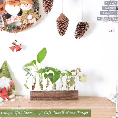 KAXYEW Desktop Glass Plant Propagation Station Test Tube Plant Terrarium in Wooden Stand for Hydroponic Plants Cutting Office Home Decoration