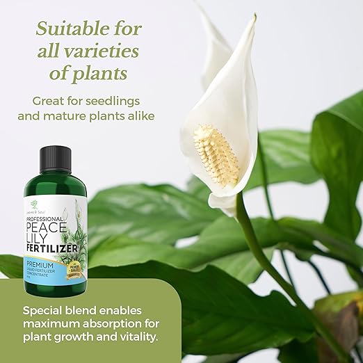 Professional Liquid Peace Lily Plant Fertilizer | 3-1-2 Concentrate for Plants and Flowers | Multi-Purpose Blend & Gardening Supplies | 8 oz Bottle