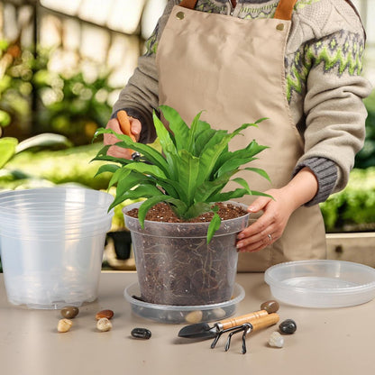 7 Pack 8 Inch Clear Nursery Pots with Saucer, Transparent Plastic Plant Pot with Drainage Holes, Sturdy Plant Starter Pots, Planter Pot for Planting Succulent Flower Herb Vegetable, Gardening Gifts