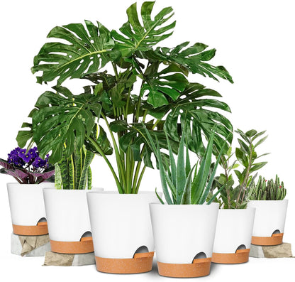 GARDIFE Plant Pots 8/7/6.5/6/5.5/5 Inch Self Watering Planters with Drainage Hole, Plastic Flower Pots, Nursery Planting Pot for All House Plants, African Violet, Flowers, and Cactus,White