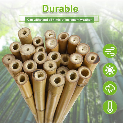 1/2" D 4 Feet Bamboo Stakes 50 Pack, Thicker Heavy-Duty Plant Stakes, Natural Garden Stakes for Bean, Tomato, Bean, Flowers,Trees Potted and Climbing Plant Support