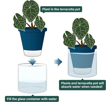 D'vine Dev 6 Inch Design Self Watering Planter for Indoor Plants, Blue Terracotta Pot with Cylinder Glass Cup, 37-X-B-4