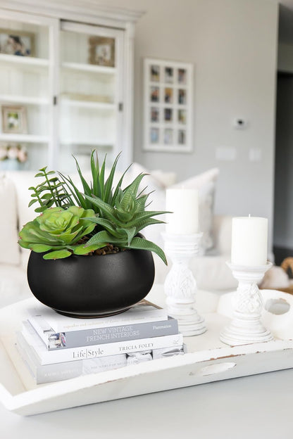 Fake Plants Artificial Succulents in Pots Faux Succulent Arrangement Potted Plant with Black Ceramic Pot for Home Decor Modern Office Desk Bathroom Shelf Living Room Indoor & Outdoor Decoration