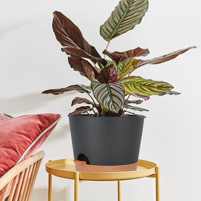 12inch Large Self Watering Plant Pot, Plastic Cylinder Planter with 60Oz Deep Reservoir and Saucer for Indoor Outdoor Plants Flowers Houseplants, Black with Brown