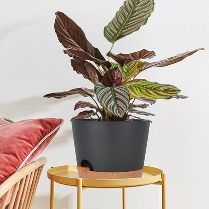 12inch Large Self Watering Plant Pot, Plastic Cylinder Planter with 60Oz Deep Reservoir and Saucer for Indoor Outdoor Plants Flowers Houseplants, Black with Brown