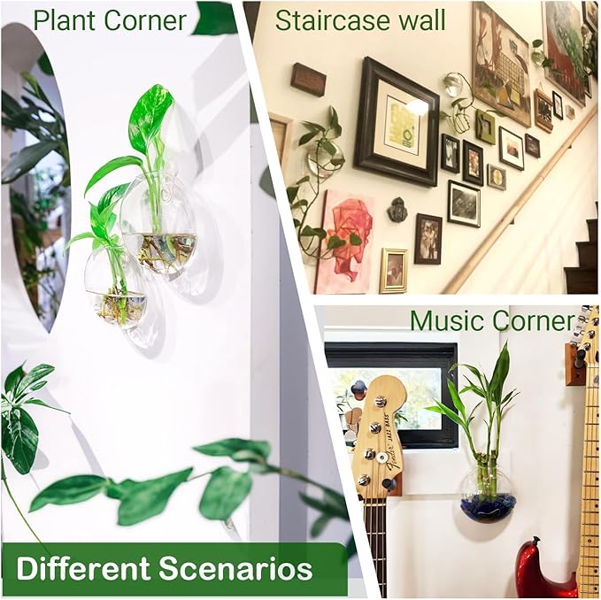 Propagation Station, Plants Terrarium, Plants Lover Gifts for Women,Plant Cutting Holder Home décor,Gifts for Women,House Warming New Home-4 Moon Shape