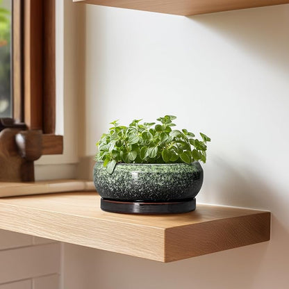 Succulent Pots 6 Inch - Ceramic Bonsai Pots with Drainage Hole and Saucer, Succulent Planters for Indoor Outdoor, Small Shallow Planter, Round Cactus Pot, Room Decor, Plant Lover Gift, Green