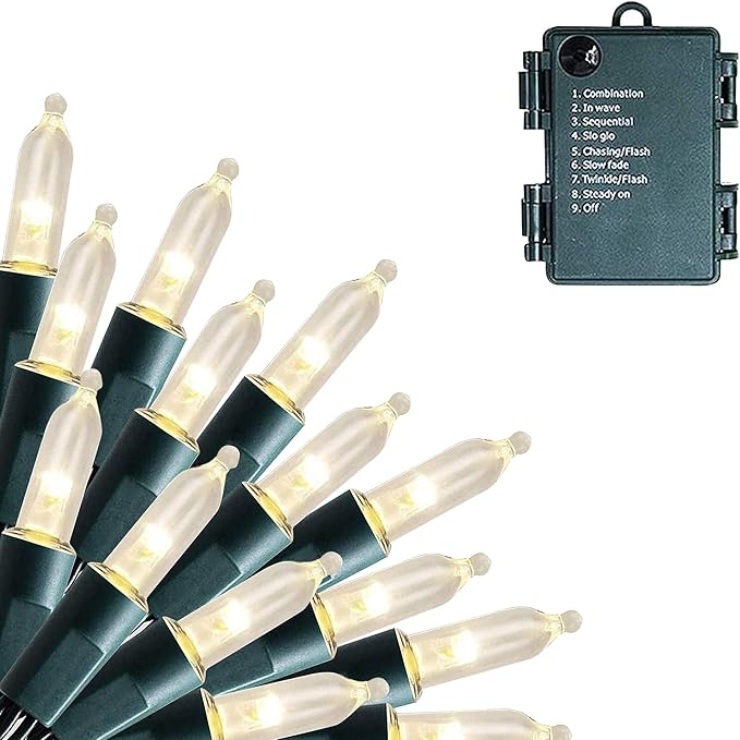 Dazzle Bright Battery Operated 50 LED Mini String Lights (Warm White, 1 Pack)