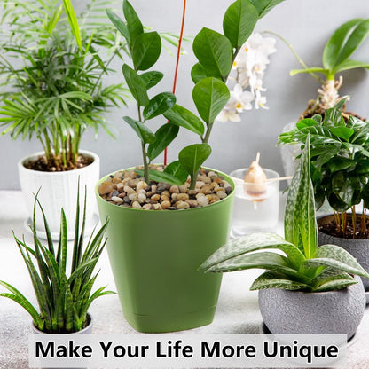 10LB Succulent and Cactus Gravel Pebbles, 3/8 Inch Decorative Polished Stones, River Rocks for Plants, Vases, Aquariums, Terrarium and Outdoor Gardening, Natural