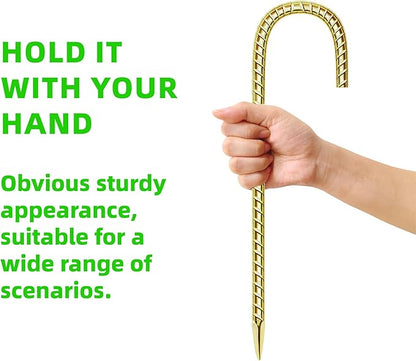 20 Pack 12 Inch Rebar Stakes Anti-Rust Galvanized Steel J Shape Hook Strong Ground Anchors for Tents, Position Kits, Fences, Trampolines Landscape Fabric for Farm Garden