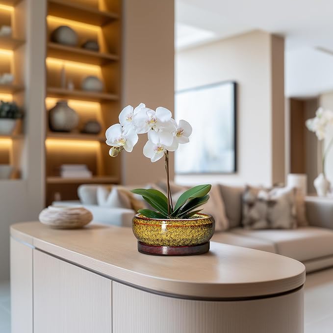 Small Bonsai Pots - 6 Inch Ceramic Succulent Planters with Drainage Hole and Saucer, Shallow Round Planter Indoor Outdoor, Cactus Succulent Pots, Living Room Decor, Plant Lover Gift, Yellow