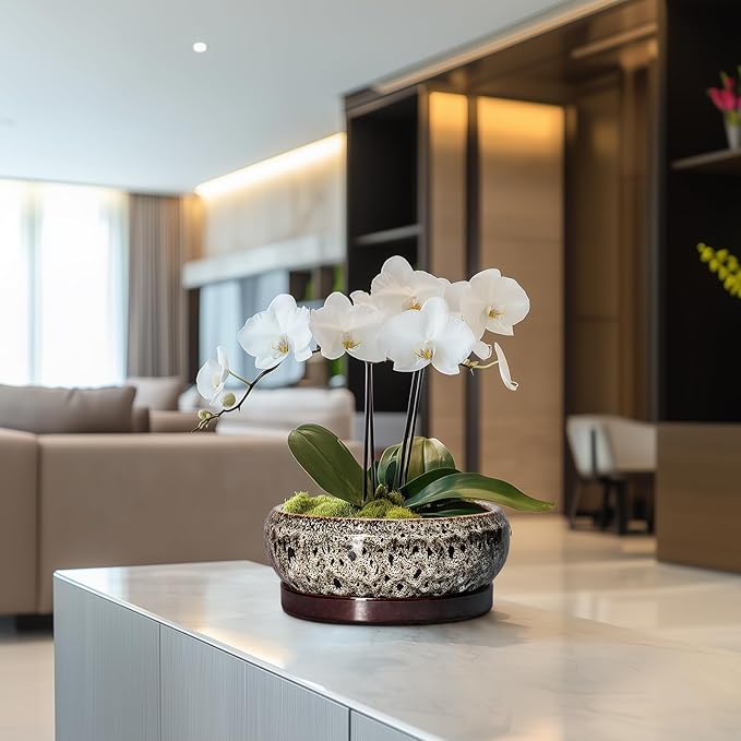 Bonsai Pots - 8 Inch Ceramic Pots for Plants with Drainage Hole and Saucer, Round Succulent Pot, Bonsai Planters Indoor Outdoor, Shallow Planter Bowl, Patio Decor, Gardening Gift, White