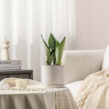 5.8 Inch Plant Pots: Ceramic Planter with Drainage Hole & Saucer - Flowerpot for Indoor & Outdoor Plants - Beaded Embossed Design White - with Separate Tray