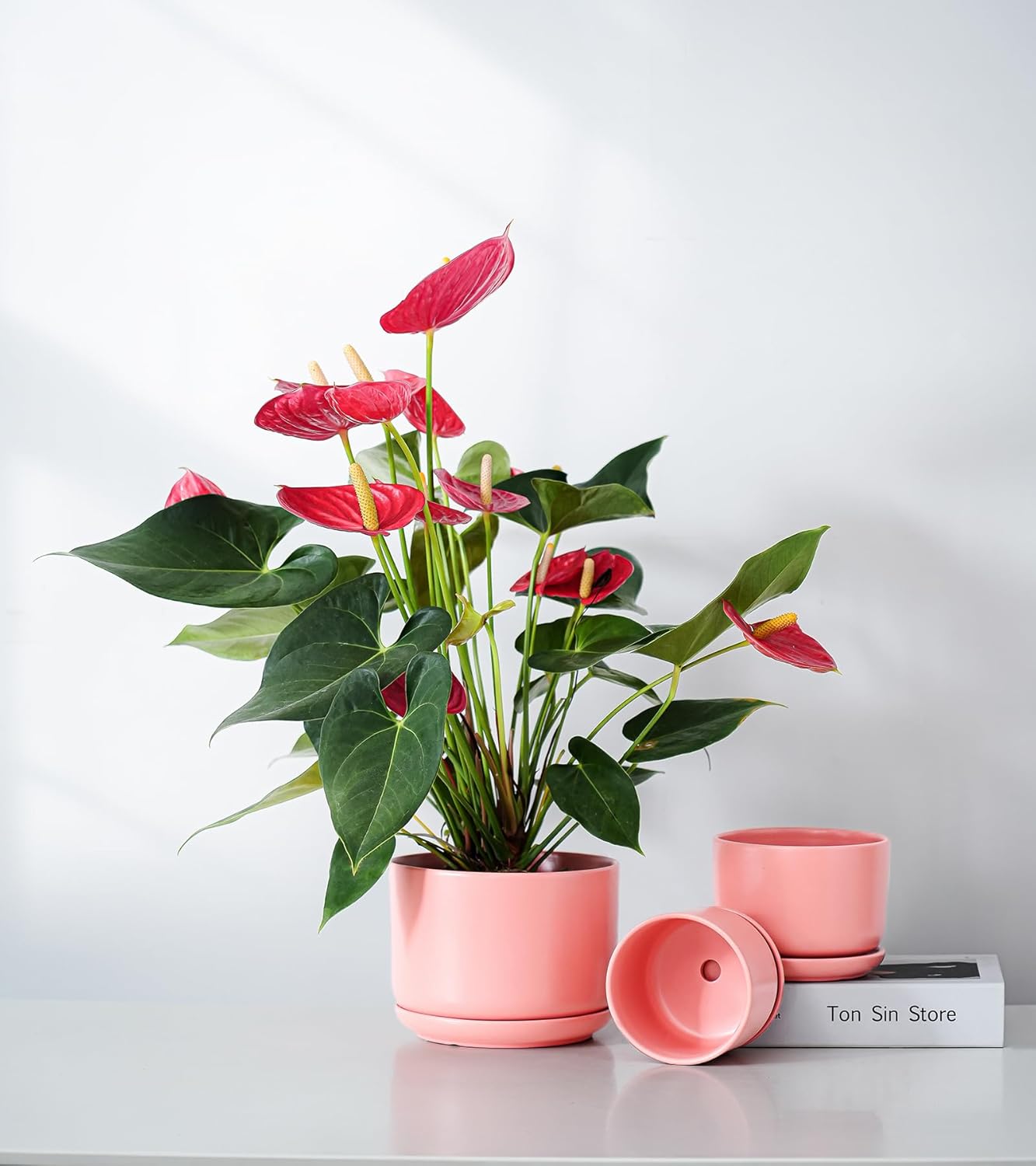 Ton Sin Plant Pots, 4.1+5.1+6.5 inch, Set of 3, Ceramic Planters with Drainage Hole and Saucer, Indoor Flower Pot with Hole Mesh Pad, Gifts for Mom(Matte Orange)