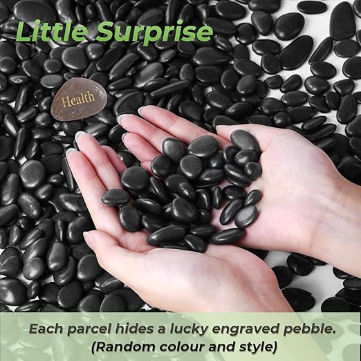 SIDONG 5 LB Black River Rocks, 0.3-0.5 Inches High Polished Pebbles for Indoor Plants, Aquarium Rocks Used in Fish Tank, Decorative Stones for Plants, Vases, Home Décor, Crafting, Garden Landscaping
