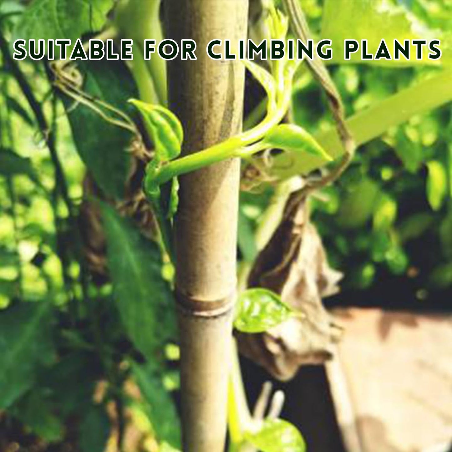 [32 Pcs] Garden Stakes, 18 Inches Natural Bamboo Plant Stakes, Plant Support Stakes with Twist Ties, Bamboo Sticks for Tomatoes, Beans, Flowers, Potted Plants, Indoor and Outdoor Climbing Plants