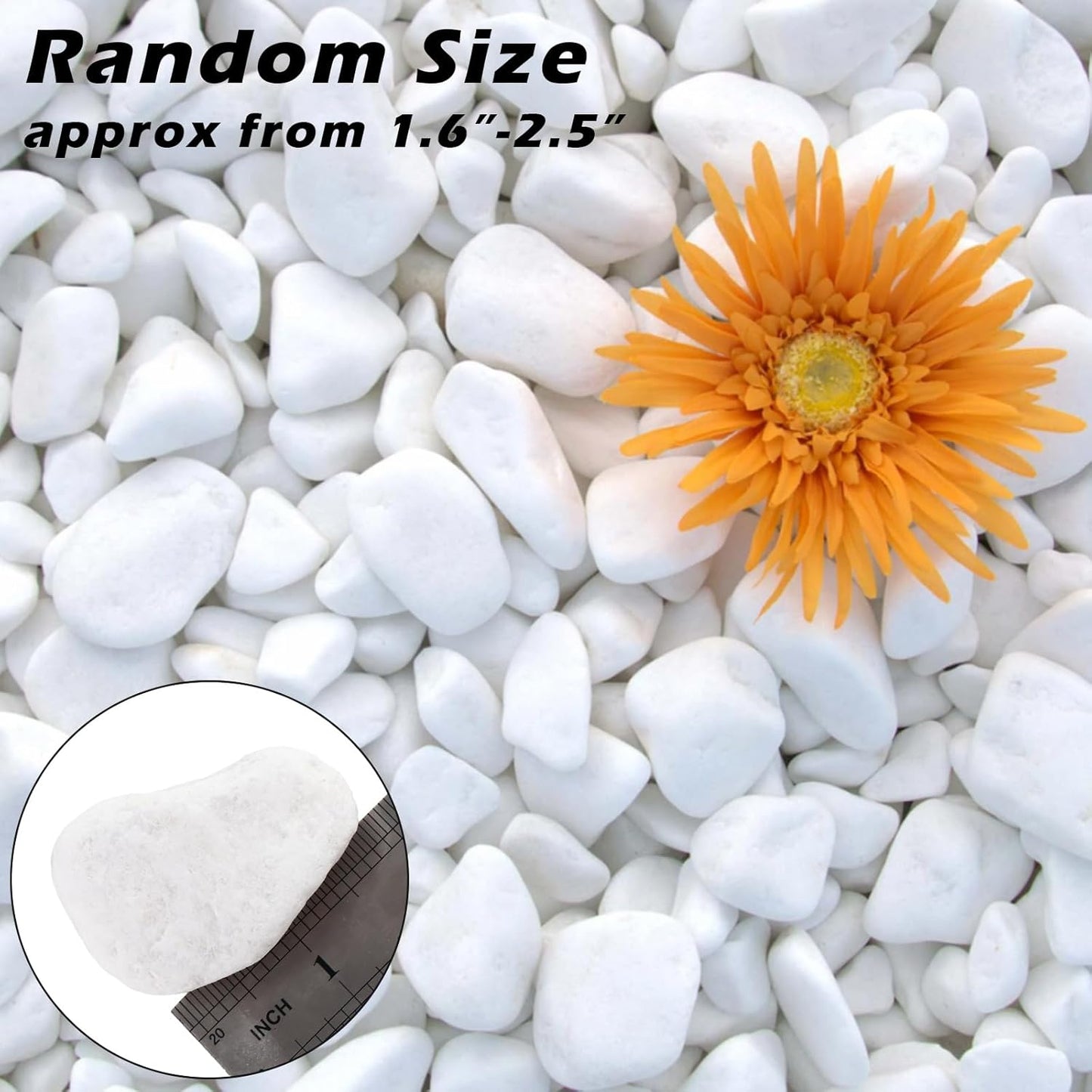 18.7 Lbs Natural River Rocks for Plants 1.6"-2.5" Small White Landscaping Garden Stones White Aquarium Gravel for Decorative Pebbles for Indoor Outdoor Planters