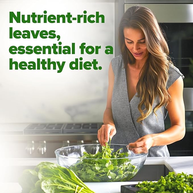 HOME GROWN 𝗨𝗦𝗔 𝗣𝗥𝗘𝗠𝗜𝗨𝗠 Bloomsdale Spinach Seeds Pack – 353 Heirloom 𝗡𝗢𝗡-𝗚𝗠𝗢 Seeds – High Germination Spinach for Indoor, Outdoor, Hydroponic Planting & Home Gardens (Spinacia oleracea)