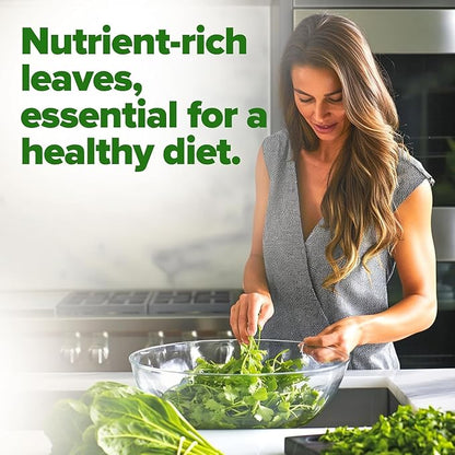 HOME GROWN 𝗨𝗦𝗔 𝗣𝗥𝗘𝗠𝗜𝗨𝗠 Bloomsdale Spinach Seeds Pack – 353 Heirloom 𝗡𝗢𝗡-𝗚𝗠𝗢 Seeds – High Germination Spinach for Indoor, Outdoor, Hydroponic Planting & Home Gardens (Spinacia oleracea)