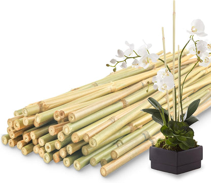 50Pcs / 2ft Bamboo Plant Stakes for Indoor Outdoor Plants, Garden Plant Support Sticks, Poles for Tomato Vegetables Beans Trees Potted Climbing Plants(0.32'')