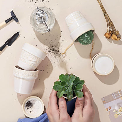 Succulent pots,Indoor Small Succulent Bonsai,3 Inch Mini Ceramic Succulent Pots with Saucer and Drainage Hole, Decorative Planter for Succulent, Cactus, Set of 4.