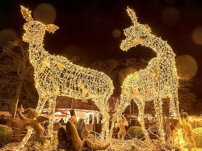 suddus 200 Led Connectable Christmas Lights Outdoor Waterproof, 66ft Fairy Lights Plug in with Remote, Warm White Christmas Tree Light Indoor for Xmas Holiday, Party, Porch, Patio, Garden Decor