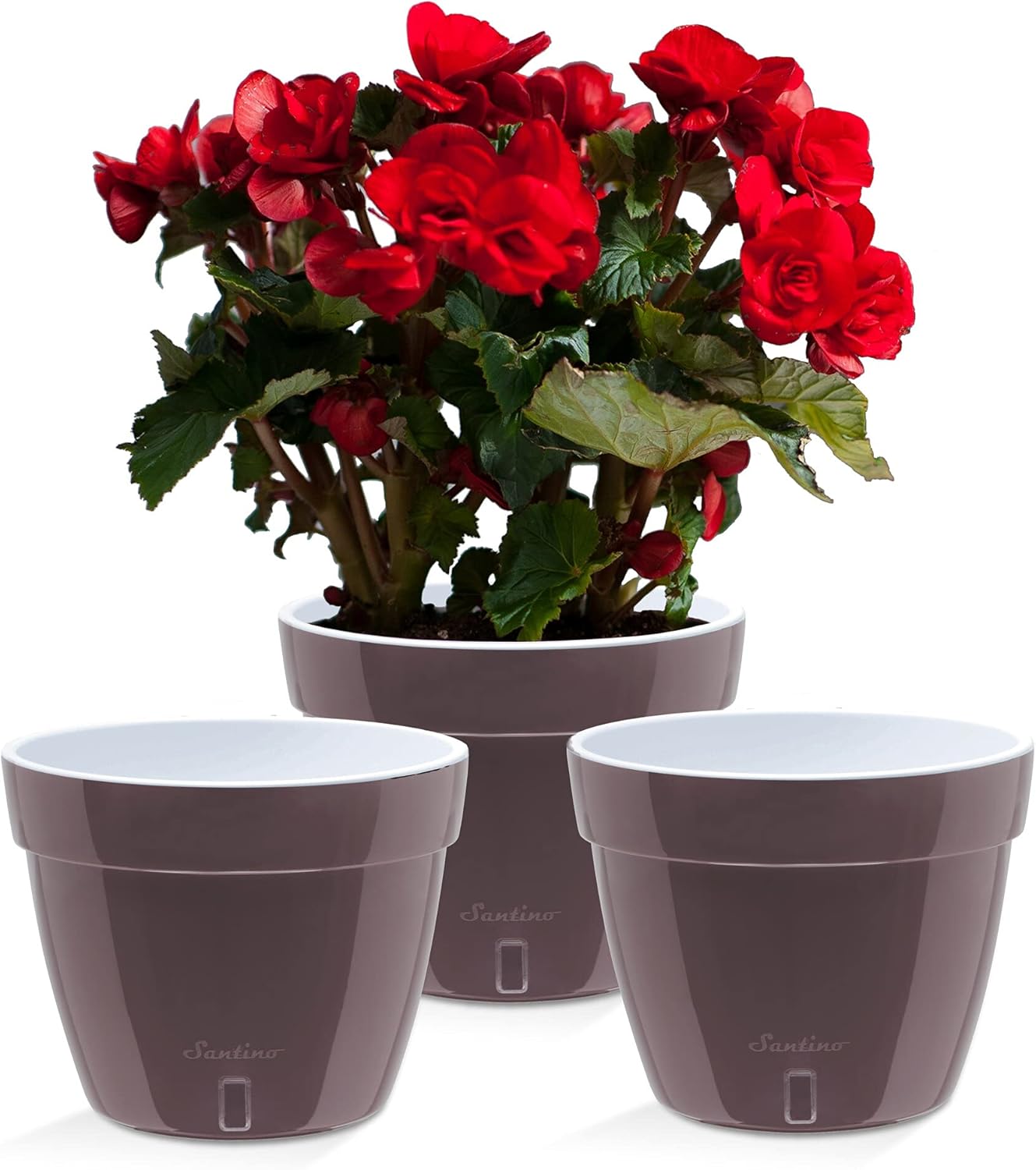Santino ASTI 11.8 Inch Self Watering Planters Shade/White (Set of 3) for Indoor Plants - Premium Quality Modern Plastic Pot w/Water Level Indicator for All House Plants, African Violets and Dahlias