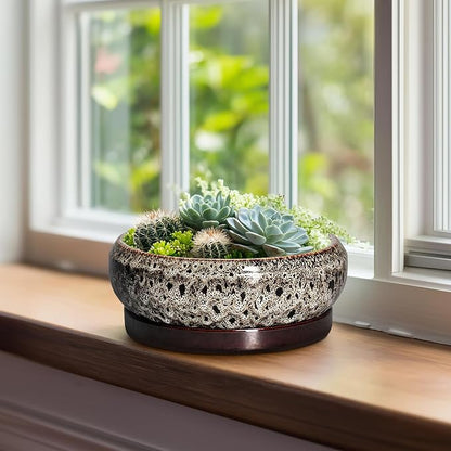 Bonsai Pots - 8 Inch Ceramic Pots for Plants with Drainage Hole and Saucer, Round Succulent Pot, Bonsai Planters Indoor Outdoor, Shallow Planter Bowl, Patio Decor, Gardening Gift, White