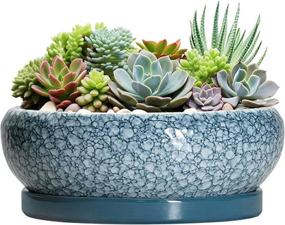 Large Succulent Planters - 13 Inch Ceramic Bonsai Pots with Drainage Hole and Saucer, Shallow Plant Pots Indoor Outdoor, Large Planter Bowl, Round Planter, Garden Decor, Gardening Gift, Blue