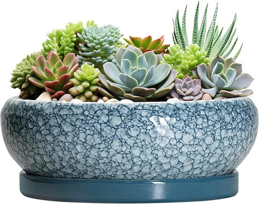 Large Succulent Planters - 13 Inch Ceramic Bonsai Pots with Drainage Hole and Saucer, Shallow Plant Pots Indoor Outdoor, Large Planter Bowl, Round Planter, Garden Decor, Gardening Gift, Blue
