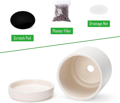 D'vine Dev 3.5 Inch Ceramic Planter Pot with Drainage Hole and Saucer, Indoor Cylinder Round Planter Pot, Oatmeal, 94-O-A-8