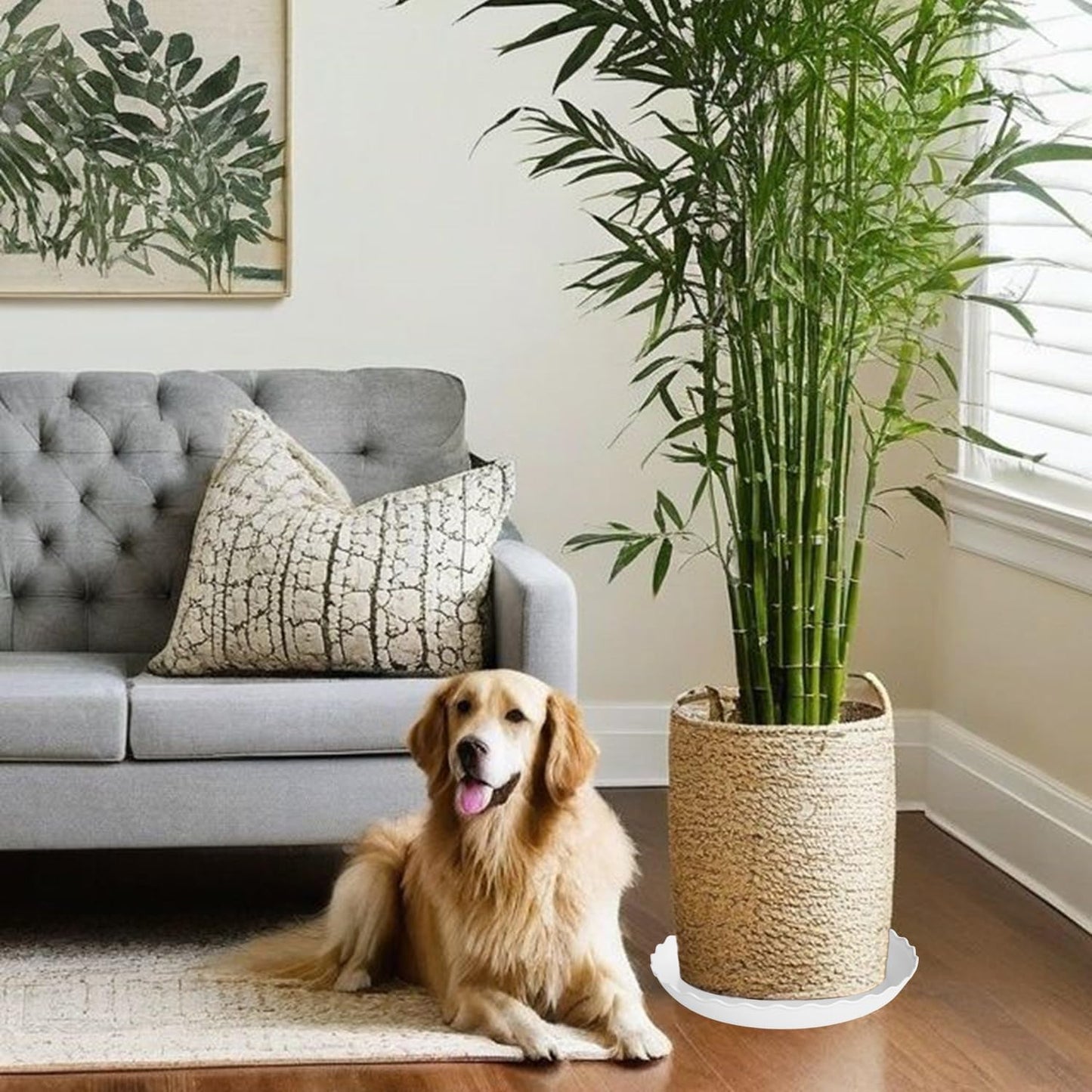 4 Pack of 16 inch Plant Saucer, Depth Large Plant Tray, Heavy Duty Plant Trays for Indoors no Holes, Plastic Pot Tray for Planter (White)