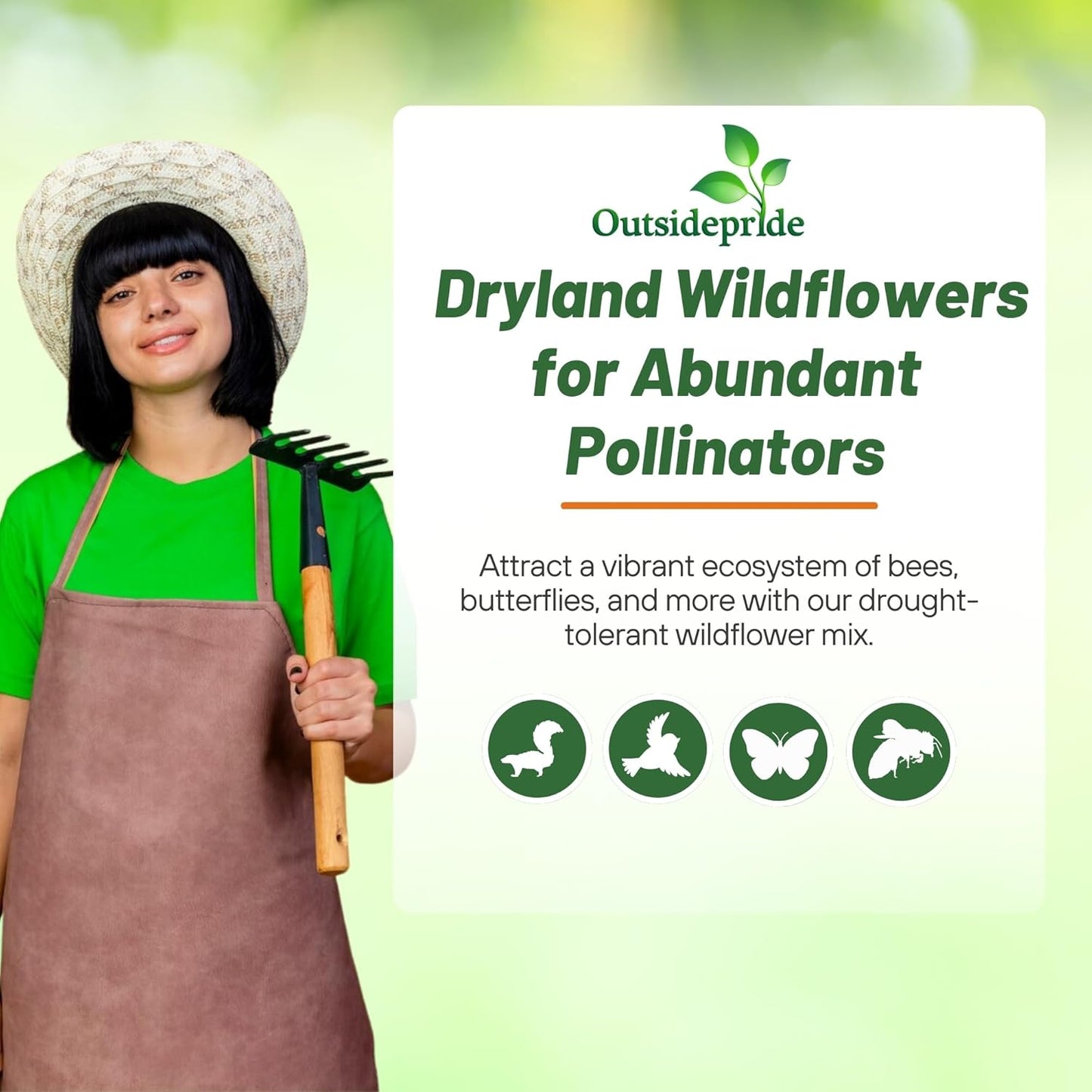 Outsidepride Dryland Wildflower Seed Mix - 5 lbs. Colorful Blend of Drought Tolerant, Annual and Perennial Wildflower Seeds for Attracting Pollinators in Arid States & Xeriscapes