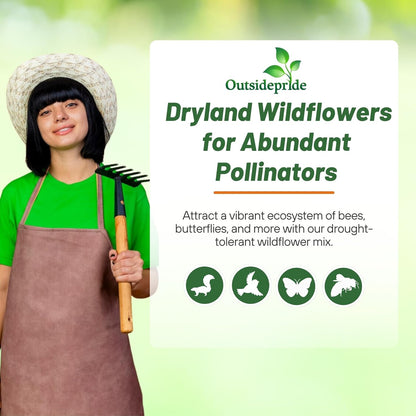 Outsidepride Dryland Wildflower Seed Mix - 5 lbs. Colorful Blend of Drought Tolerant, Annual and Perennial Wildflower Seeds for Attracting Pollinators in Arid States & Xeriscapes