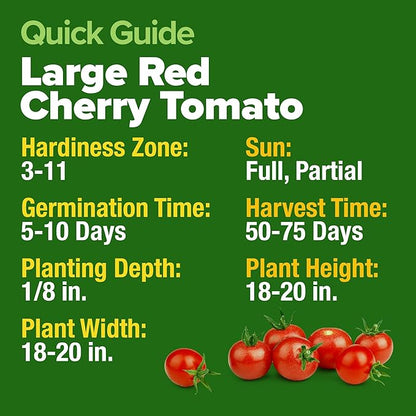 HOME GROWN Large Red Cherry Tomato Seeds Pack– 500 High Germination Heirloom Seeds – 𝗡𝗢𝗡-𝗚𝗠𝗢 𝗨𝗦𝗔 Vegetable Seeds for Garden,Homestead & Self-Sufficient Growing(Solanum lycopersicum)