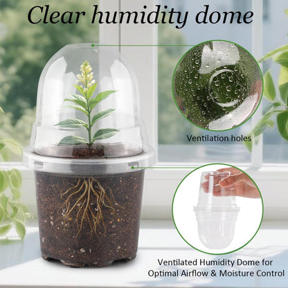 Transparent Nursery Pots 4Inch with Humidity Domes for Seeds Starting, Clear Plastic Plant Pots with Drainage Holes (4Inch, 30Pcs,Clear Pots with Lids)